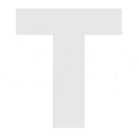 naklejka toyota - litera "t" e0044649