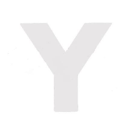 naklejka toyota - litera "y" e0044648